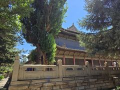 -张掖大佛寺景区