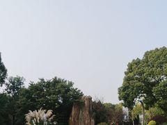 -昆山城市生态森林公园