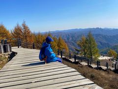 -苏木山森林公园