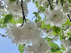 -杭州师范大学(下沙校区)