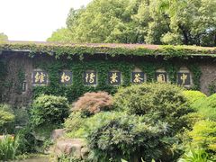 -中国茶叶博物馆(双峰馆区)