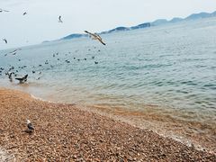 -海驴岛(荣成市)