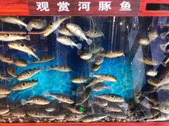 -肆月河豚·新淮扬(金融街店)
