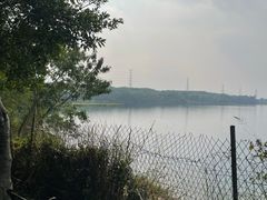 -露天矿生态公园