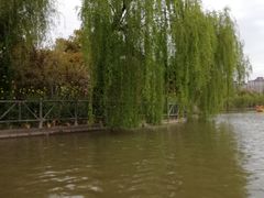 -南汇桃花村