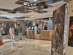 -上海金逸影城(静安大悦城店（原新恒星影城）)