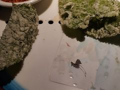 -应天大明王朝·南京菜(中山陵店)