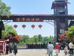 -泗洪洪泽湖湿地景区