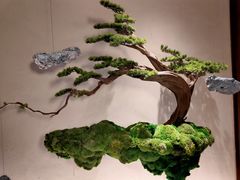 -揽季锅物会.福建黄鱼.海鲜姿造(五四路店)