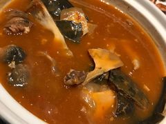 甲鱼汤煮馍-徐记海鲜(汉城湖|太奥店)