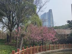 -黄兴公园