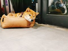 -NOTBAD 须时·咖啡馆