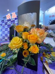 -安徽合肥韩美整形外科医院