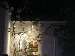 -乾园(天河城店)