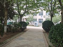 -邵汇大虾(甘井子万达店)