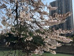 -红星桥(地铁站)