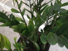 -翠亭酒家(山西南路店)