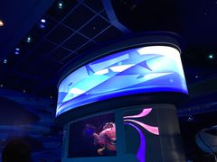 -海底巡游艇:尼莫和好友的海洋世界