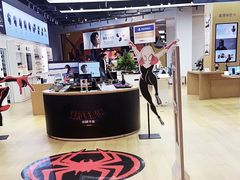 -Sony Store 索尼(来福士店)