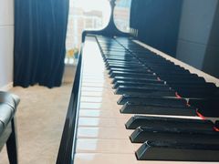 -Melody Mentor音乐私教馆(朝外·悠唐店)