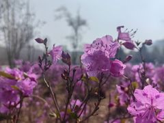 -哈尔滨师范大学(松北校区)