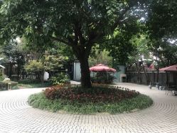 -莲生母婴月子中心(清水河公园店)