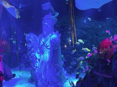 -沈阳海洋探索中心