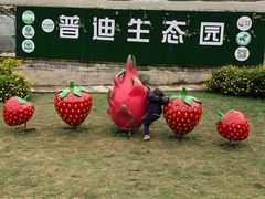 -普迪生态园