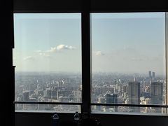 -上海柏悦酒店
