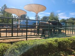 -秦皇岛野生动物园