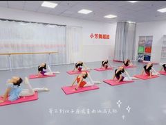 -小芳舞蹈团·少儿舞蹈·中国舞(龙江校区)