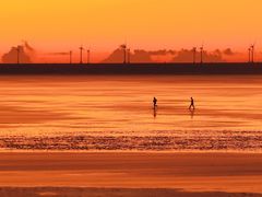 -南汇嘴观海公园