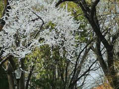 -山东大学(趵突泉校区)