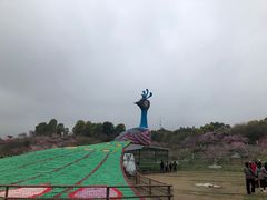 -秀丽东方