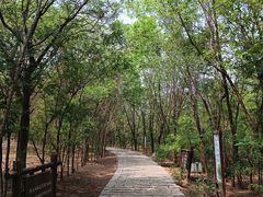 -西青郊野公园