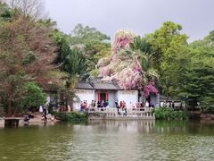 -深圳国际园林花卉博览园