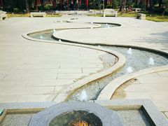 -顺峰山公园