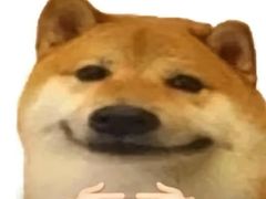 -胖娃滋补蹄花