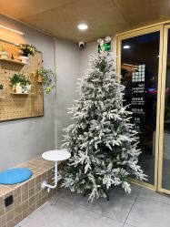 -十六番发型师事务所