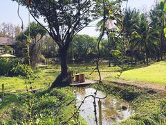 -四季酒店下午茶