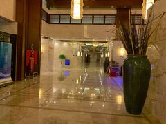 -宜春明月山维景国际温泉度假酒店