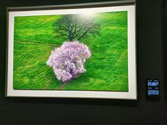 -罗红摄影艺术馆