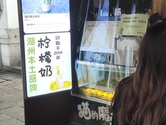 -猫的魔法密林(衣裳街店)