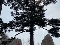 -妙峰山风景名胜区