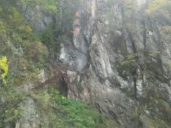 android_upload_pic-吊水壶国家森林公园