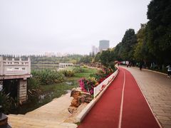-洛龙公园
