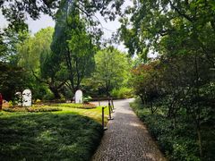 -上海醉白池公园