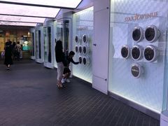 -乐天免税店(明洞店)
