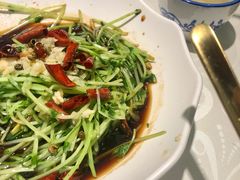 有机豆苗-外婆味道·云南菜大当家(关上店)