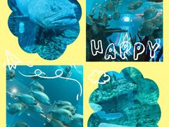 -乐从天佑城海洋馆